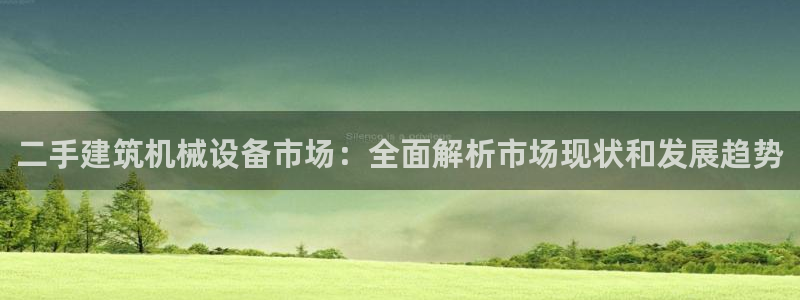 杏盛平台开户：二手建筑机械设备市场：全面解析市场现状和发展趋势