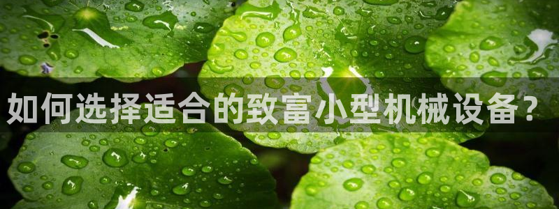 杏盛平台官网注册登录：如何选择适合的致富小型机械设备？